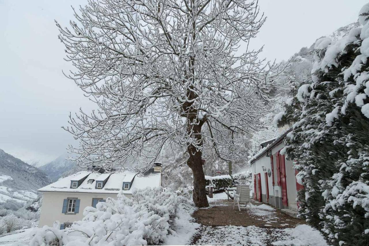 Comfortable Farm House Petit Barzun, In The Parc National Pyrenees Barèges Esterno foto